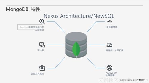 從零開始 一步步搭建MongoDB數(shù)據(jù)庫(kù)服務(wù)